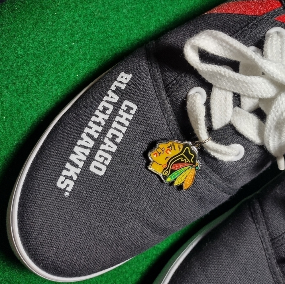 Chicago Blackhawks Bradford Exchange Wearable Art Shoes, Like New - Picture 3 of 10